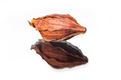 《集合啦！动物森友会》直面会10月15日进行 介绍11月更新内容